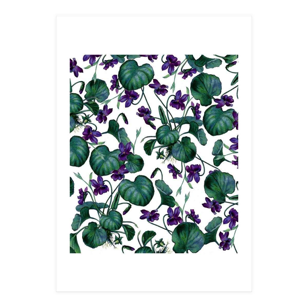Violets (Print Only)
