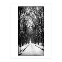 Winterly alley (Print Only)