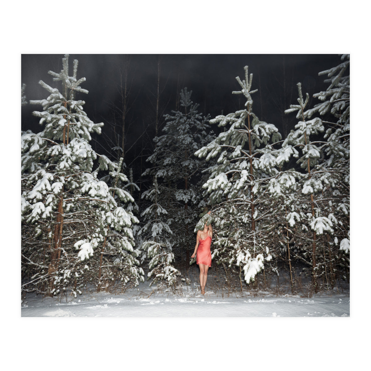 Hiding Game (Print Only)