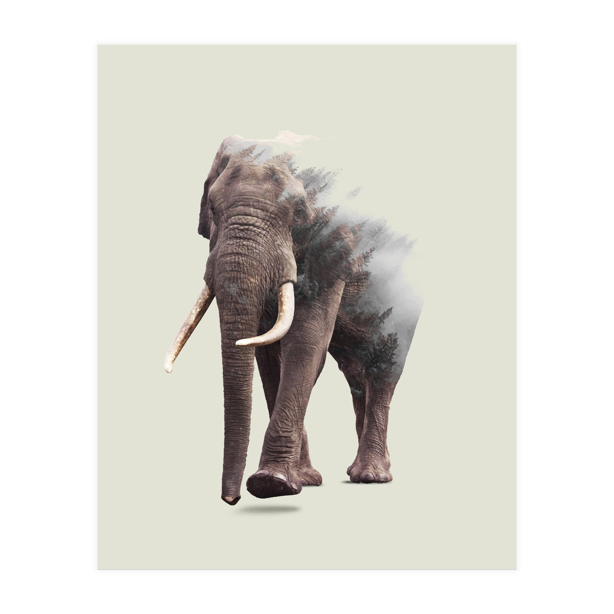 Elephantastic (Print Only)