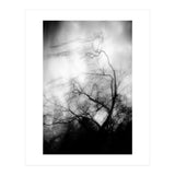 love wish (Print Only) thumbnail