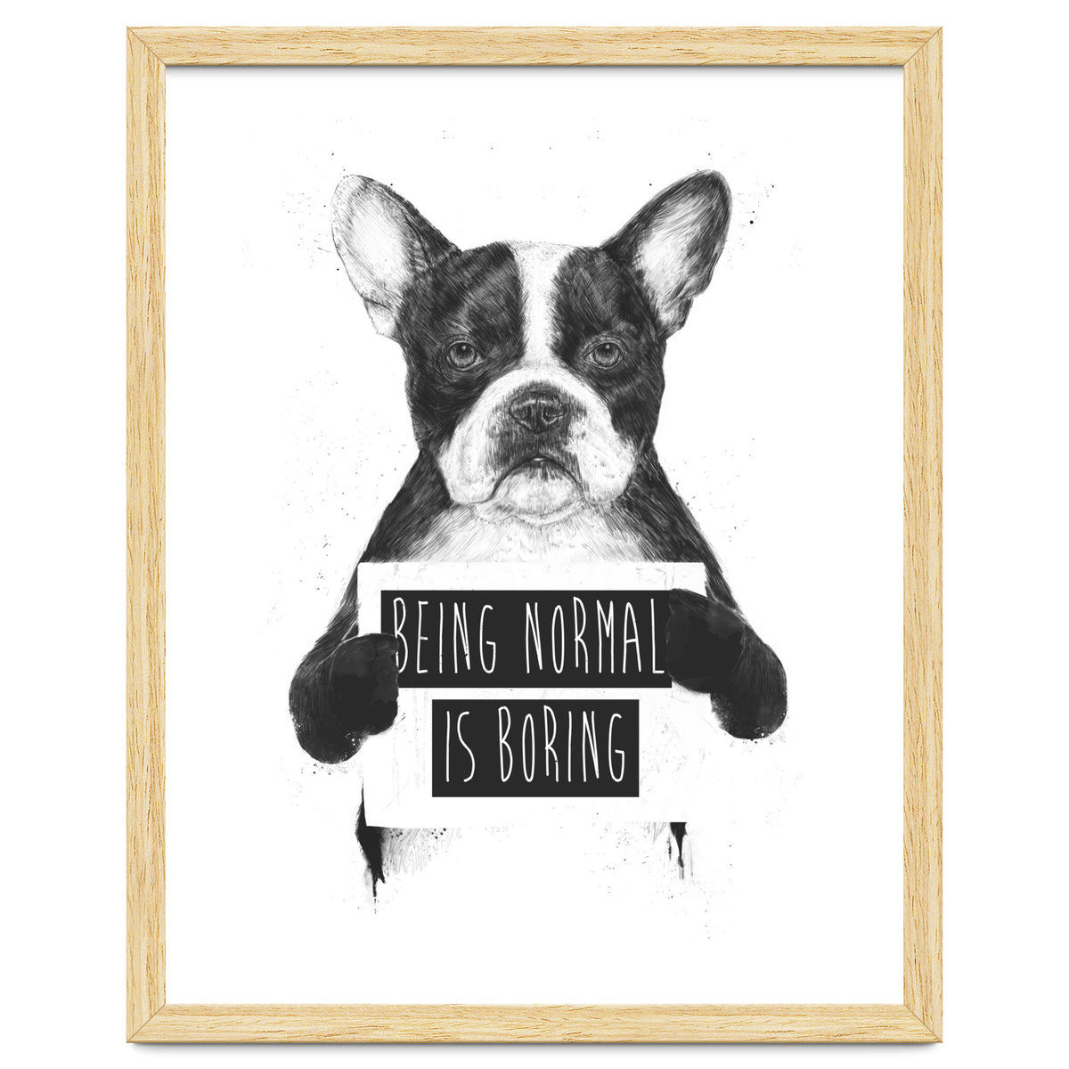 Being Normal Is Boring