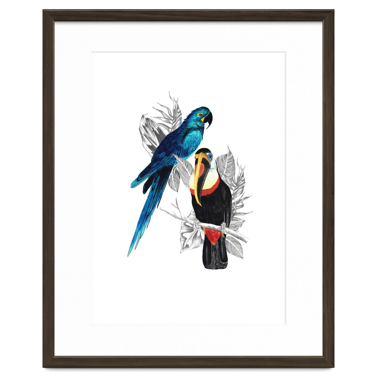 The Toucan and the Parrot