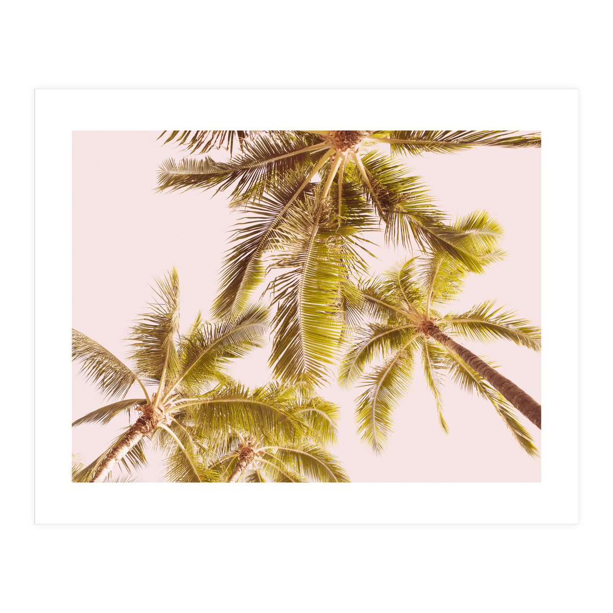 Blush Pink Boho Palm Trees (Print Only)