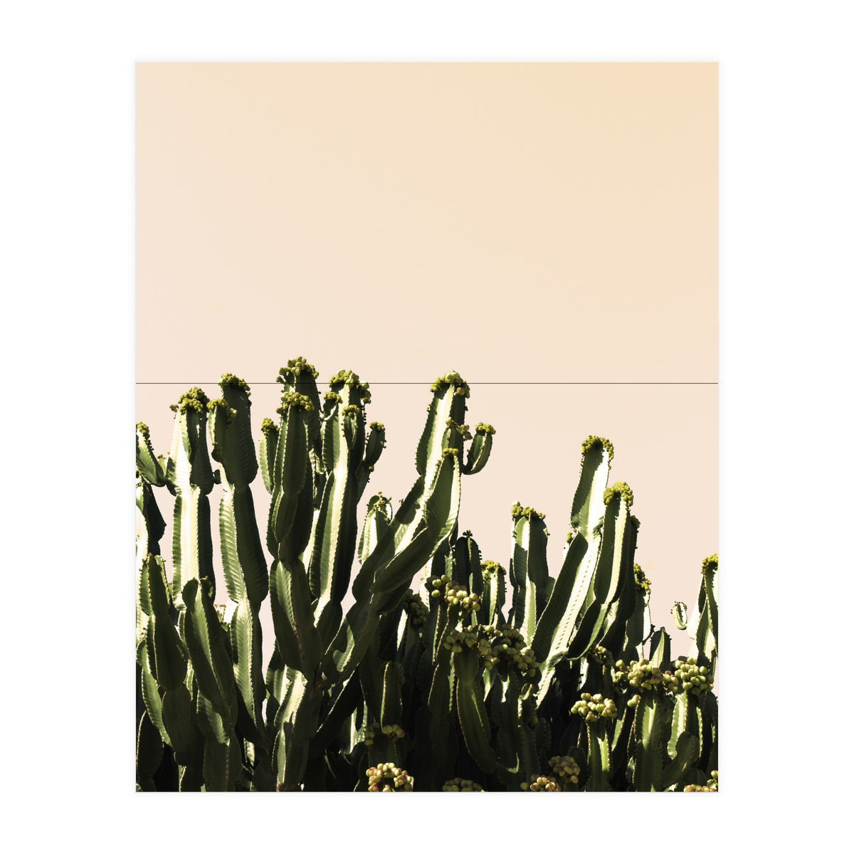 Cactus Vertical Color (Print Only)