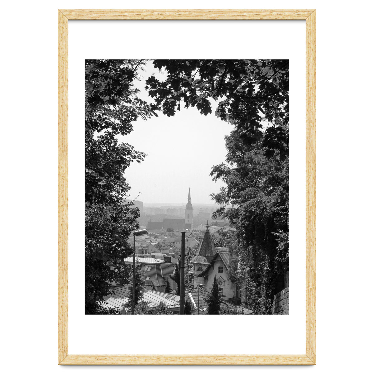 Bratislava Reflection