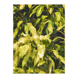 Green Nature (Print Only) thumbnail