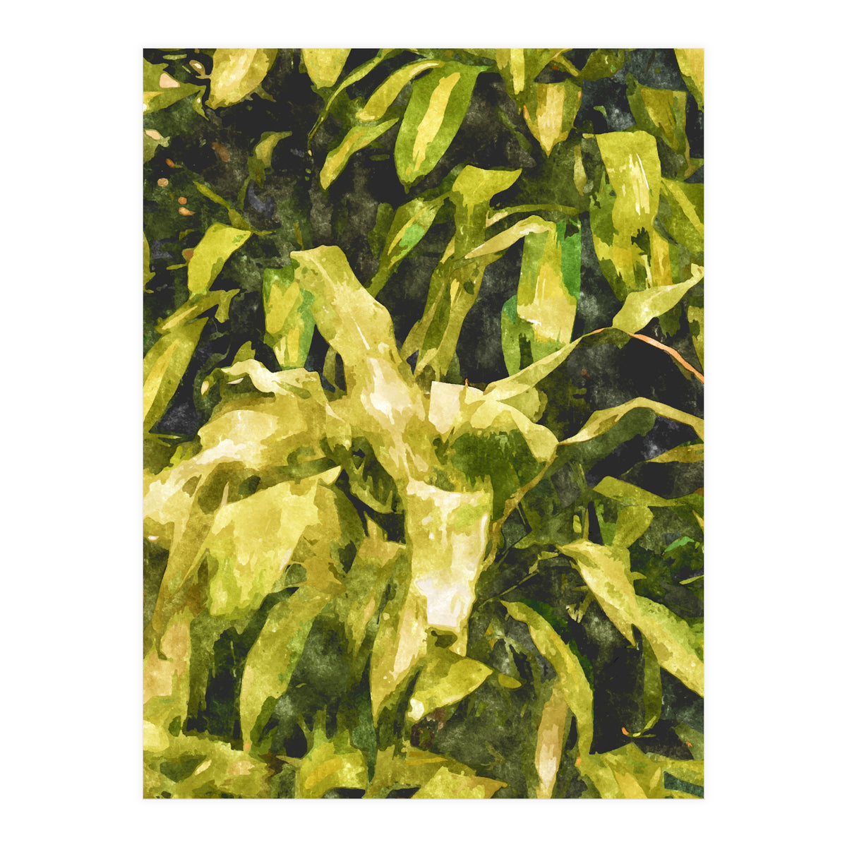 Green Nature (Print Only)