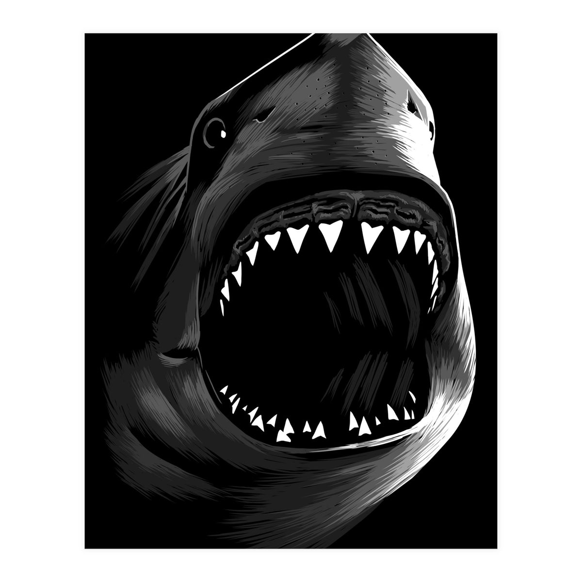 Great Shark White (Print Only)