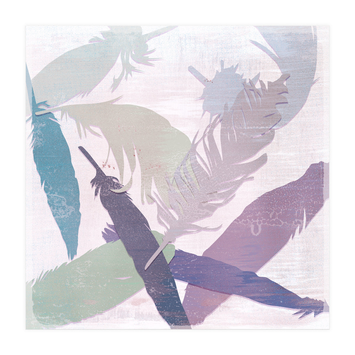 Feathers (Print Only)