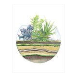 A Little Green Terrarium (Print Only) thumbnail
