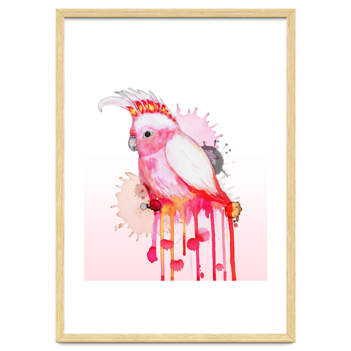 Major Mitchell's cockatoo