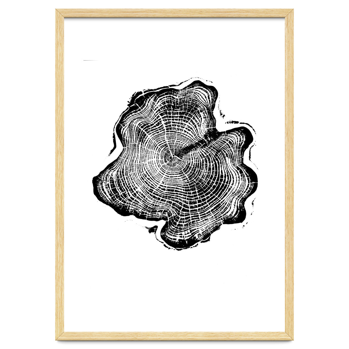 Alaskan Cypress, Tree Ring Art Print, Woodblock