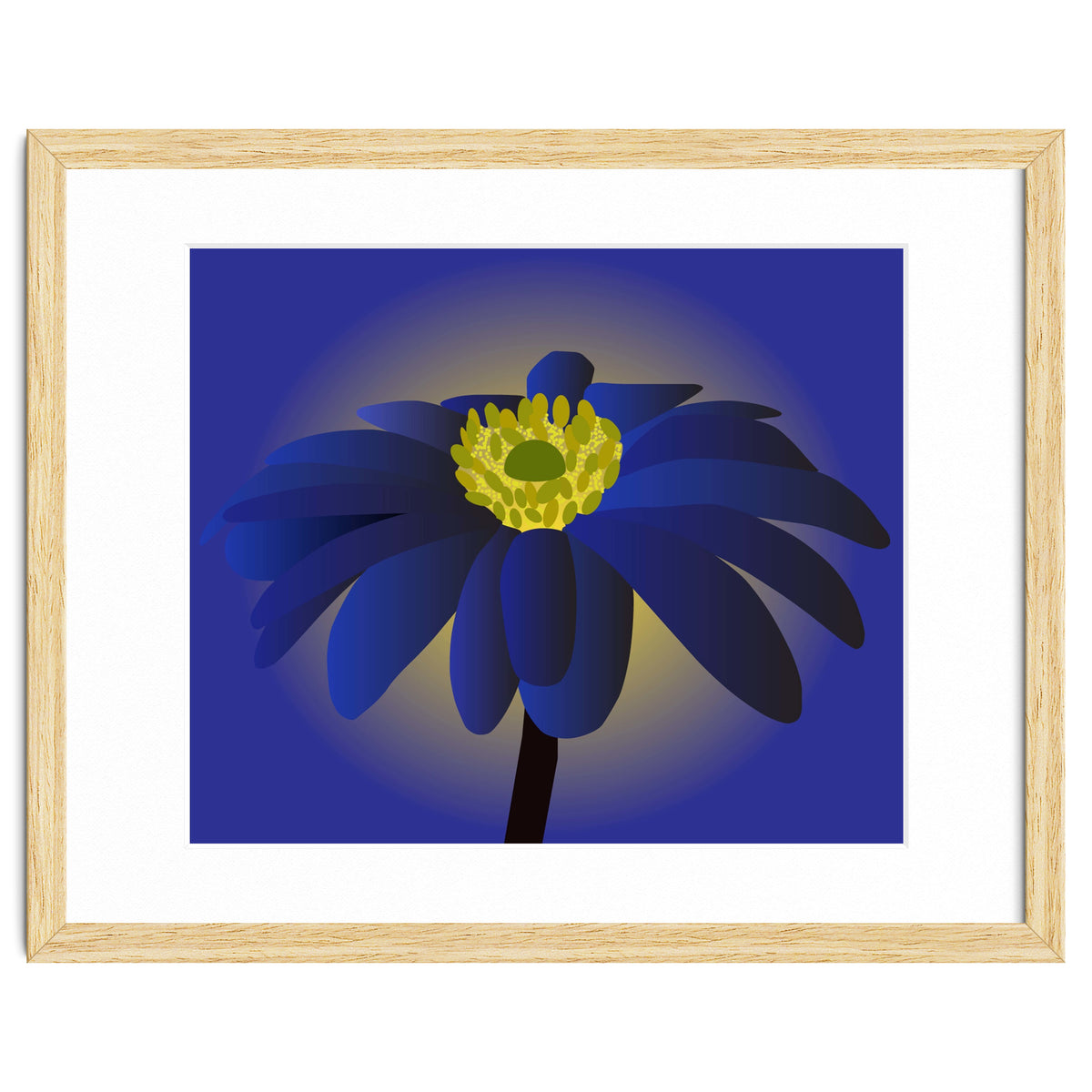 Anemone Blanda Flower Art