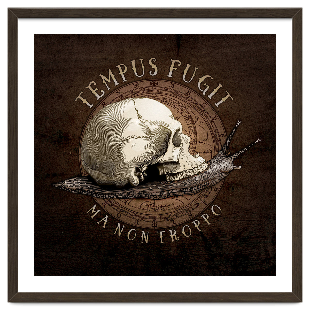 Tempus Fugit (ma non troppo)