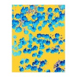 Bananans & Blue (Print Only) thumbnail