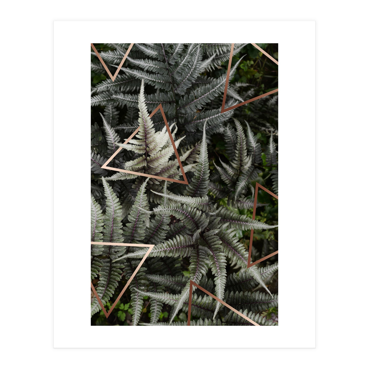 Fern Art (Print Only)