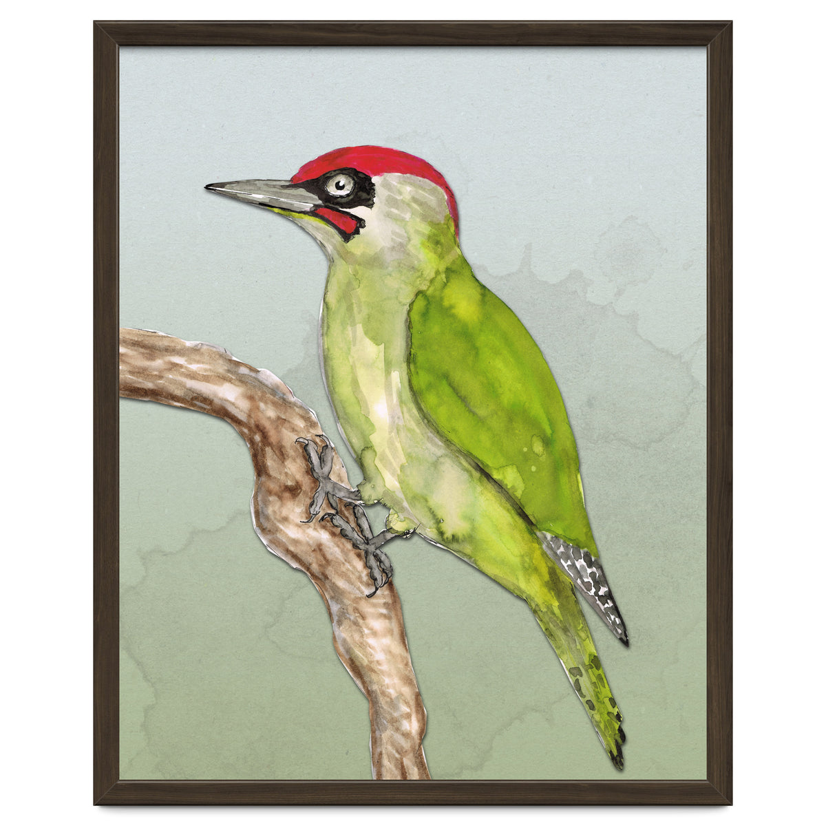 Green woodpecker