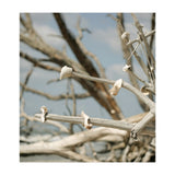 Seashells And Driftwood  (Print Only) thumbnail