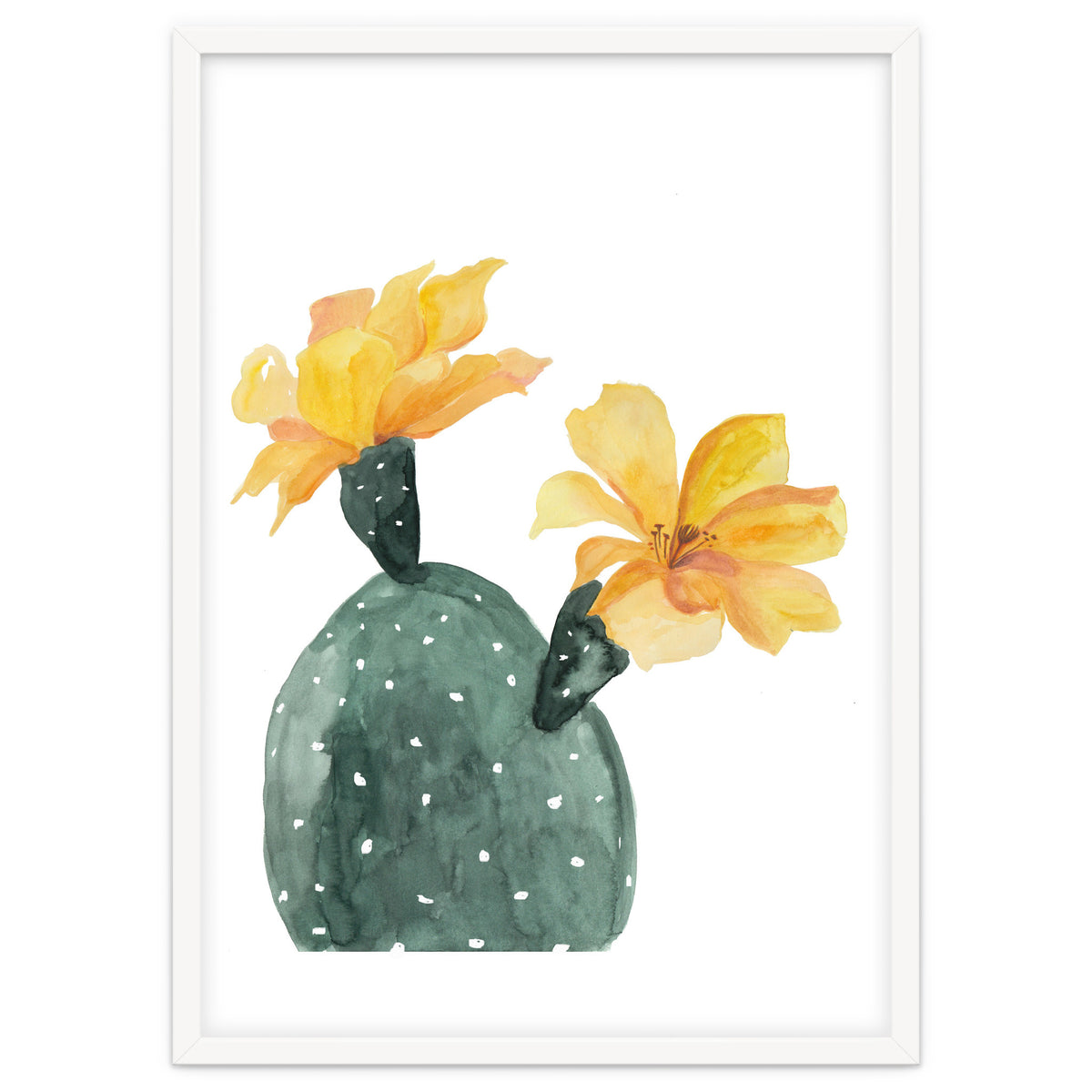Botanical Illustration Yellow Cactus Flowers