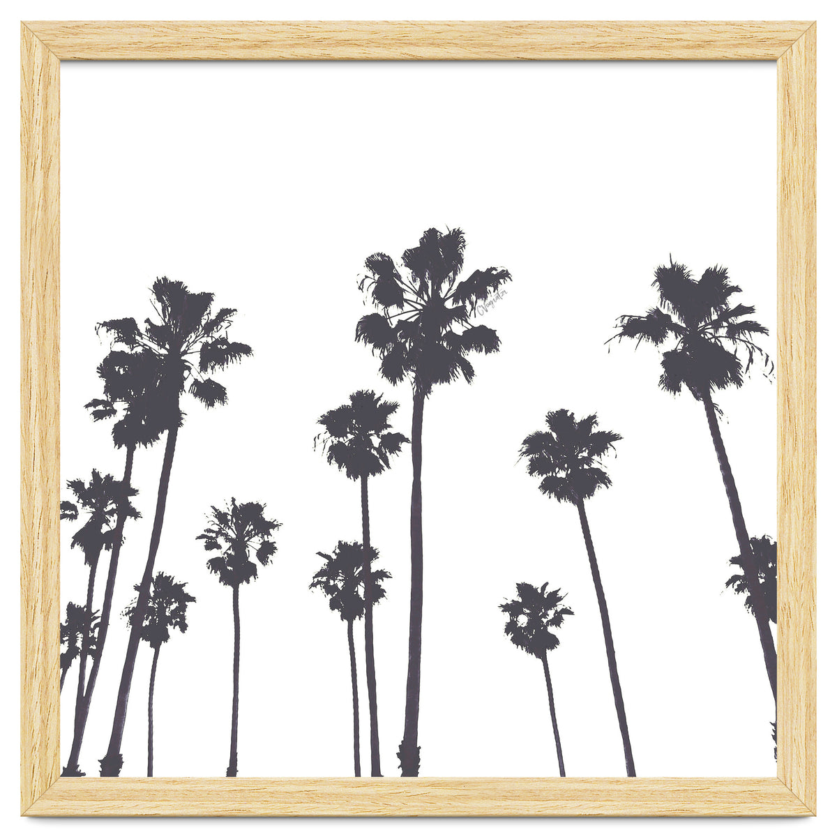 Palms & Sunset-Minimal B&W