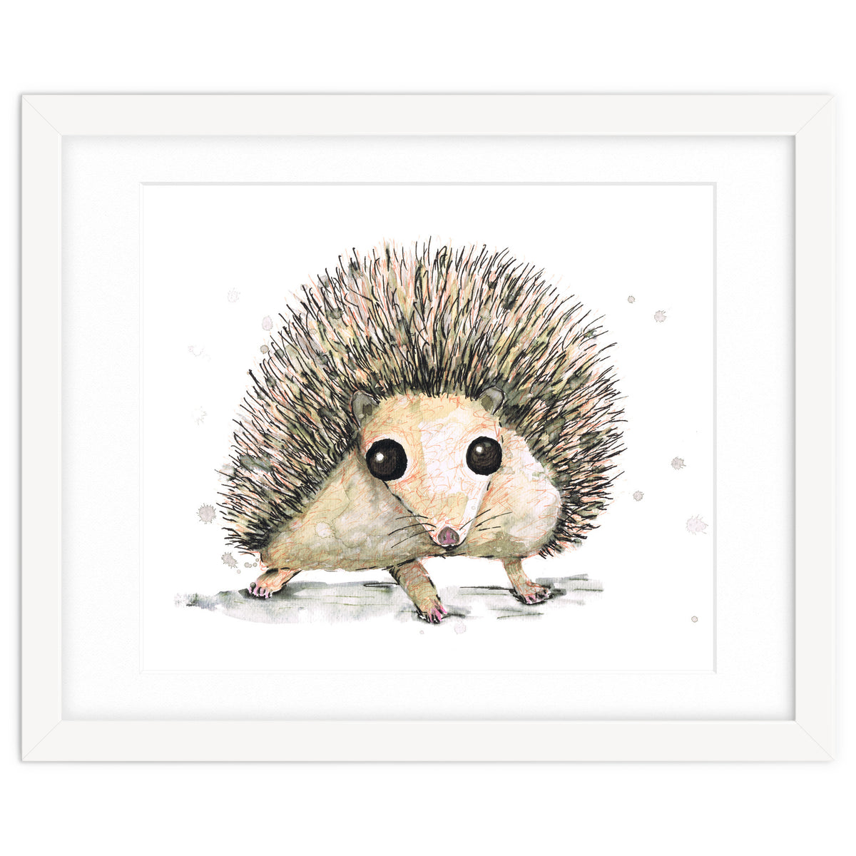 Hedgehog