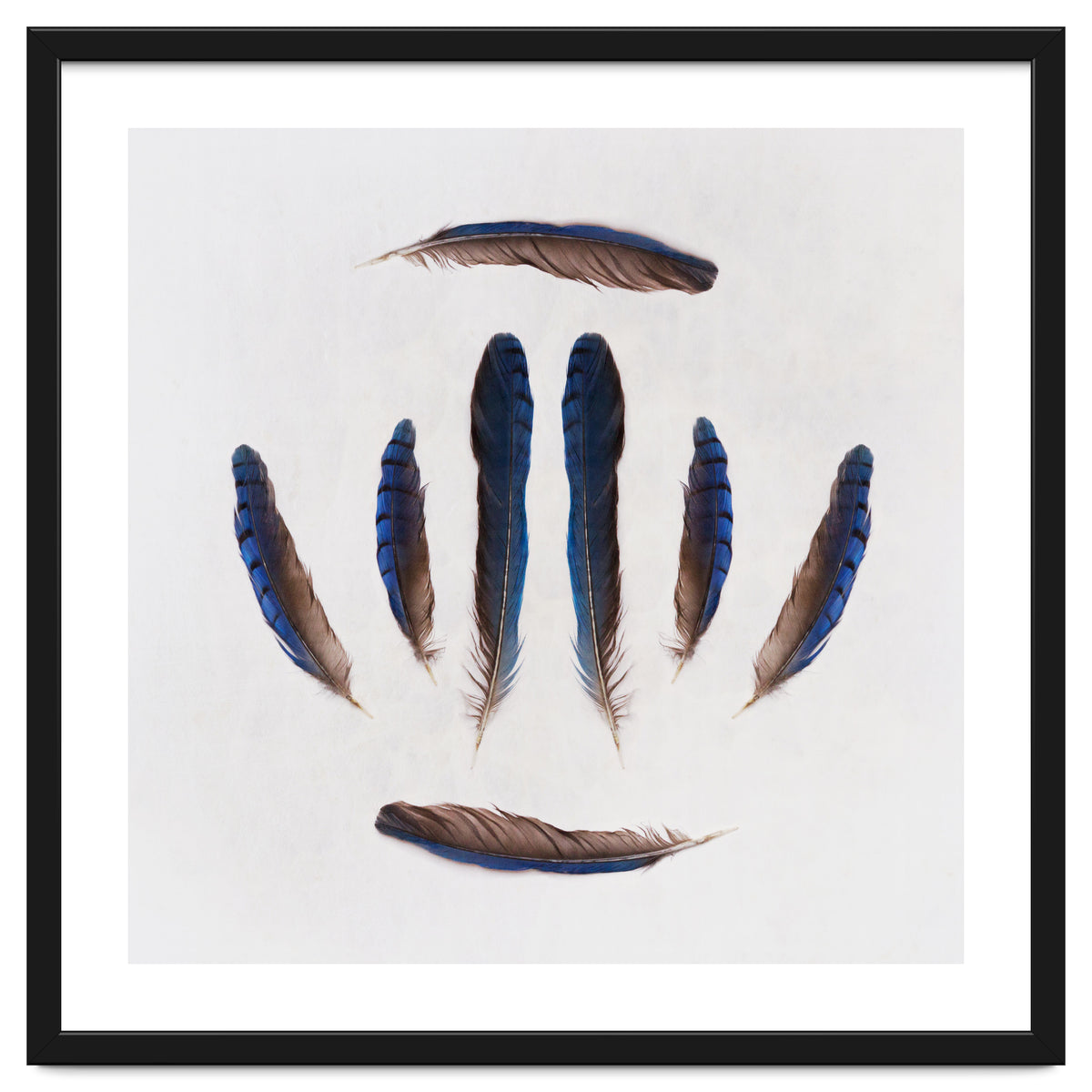 Forgive Me For Forgetting