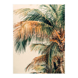 Tropic Summer  (Print Only) thumbnail