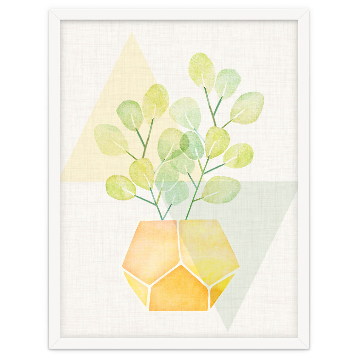 Geometry and House Plant