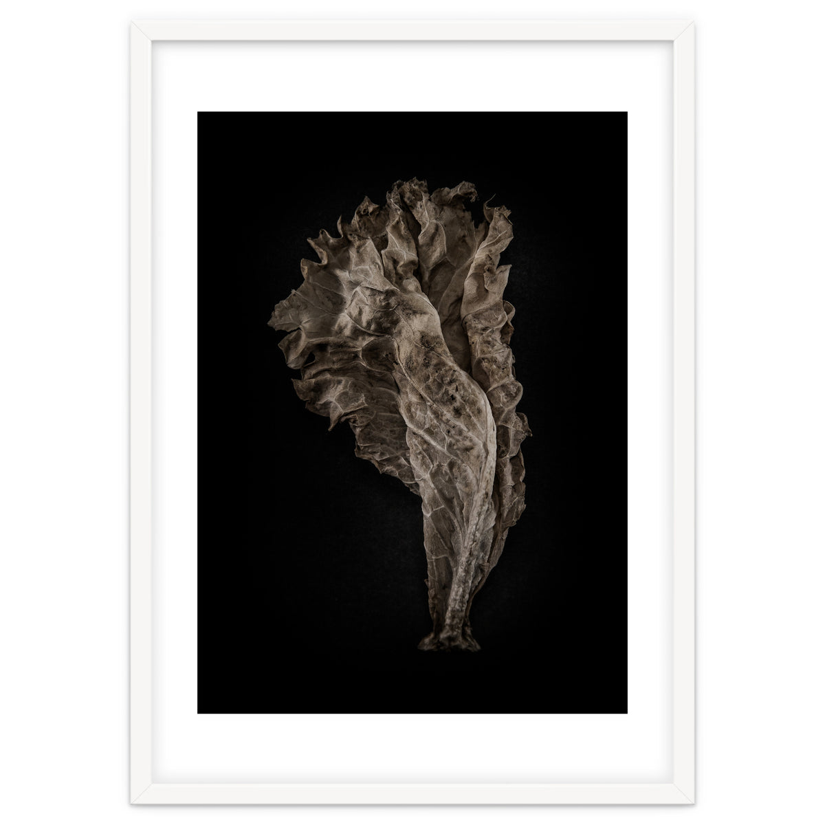 Leaves No 8 Color Version