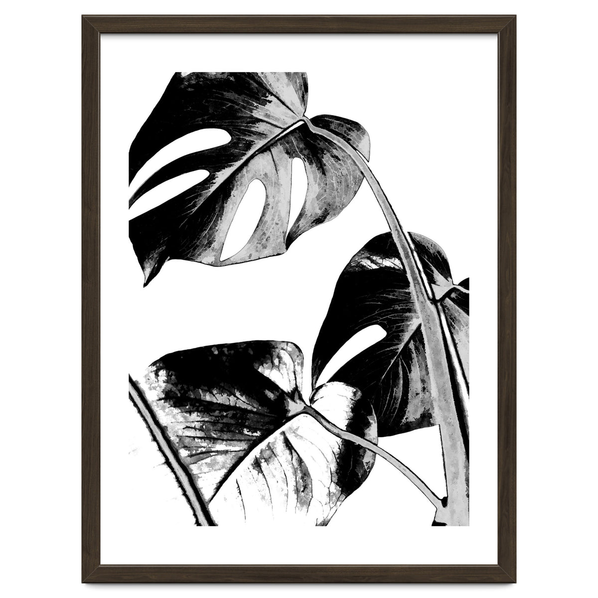 Black Tropical Leaves