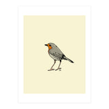 Little Red Bird (Print Only) thumbnail