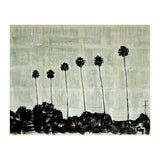 Six Palm Trees . (Print Only) thumbnail