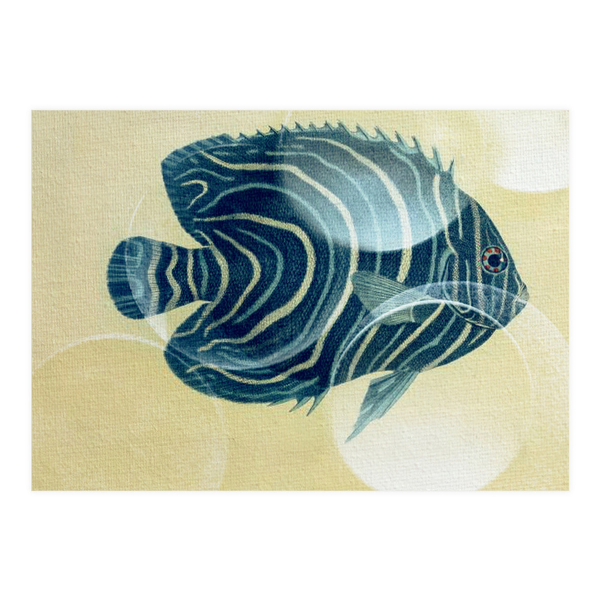 Fish Between Circles (Print Only)