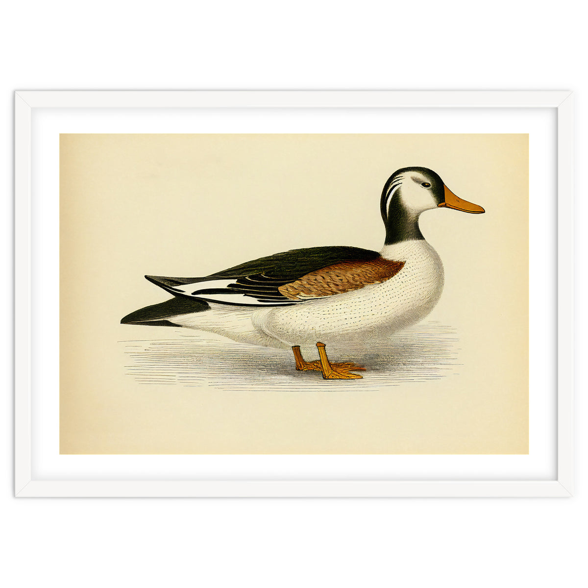 Vintage Duck Painting