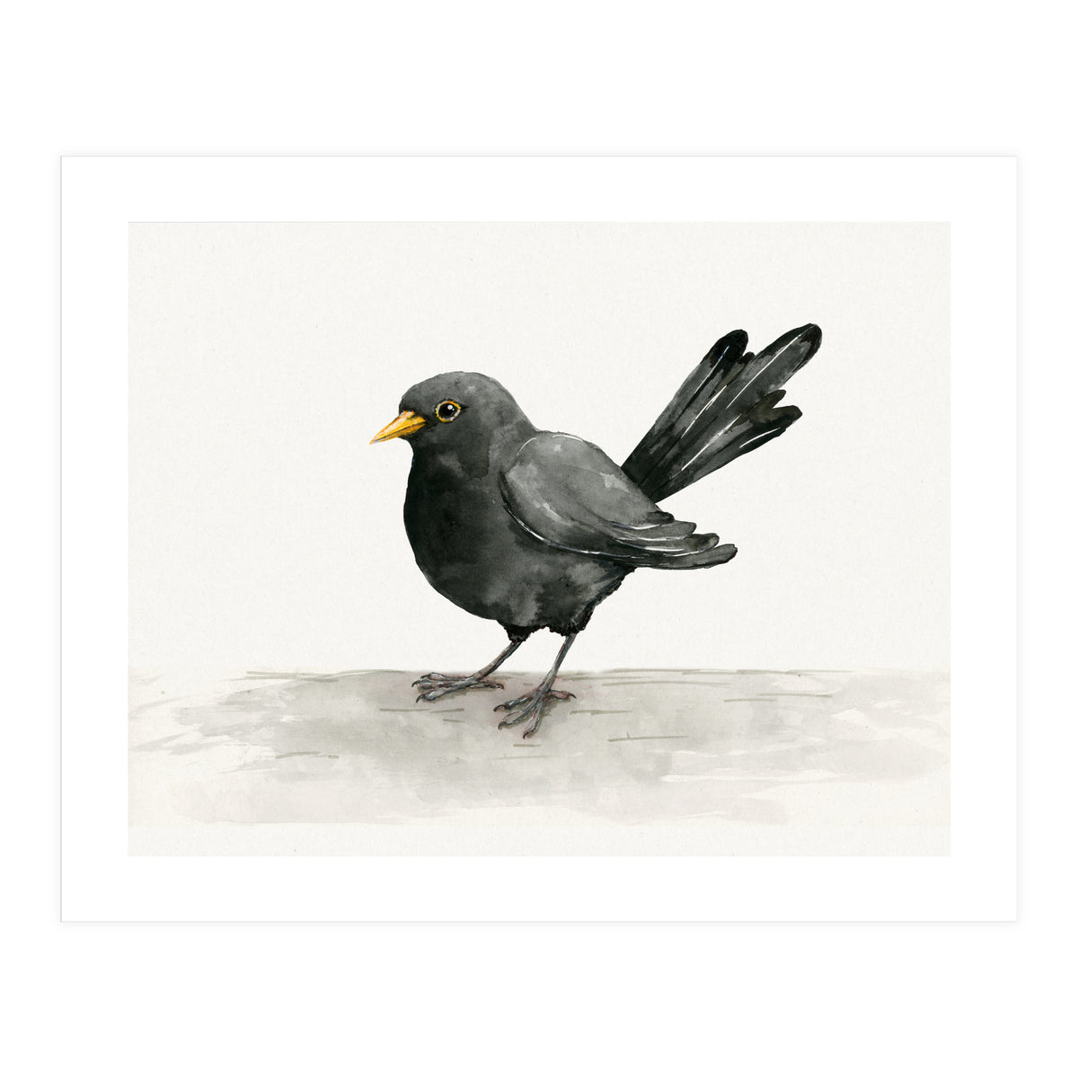 Blackbird ink drawing (Print Only)