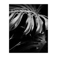 monstera nature (Print Only)