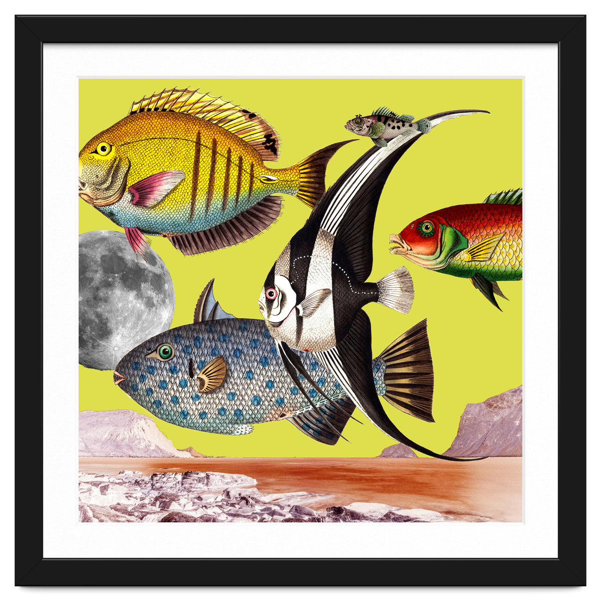 Plenty Of Fish In The Sea Yellow