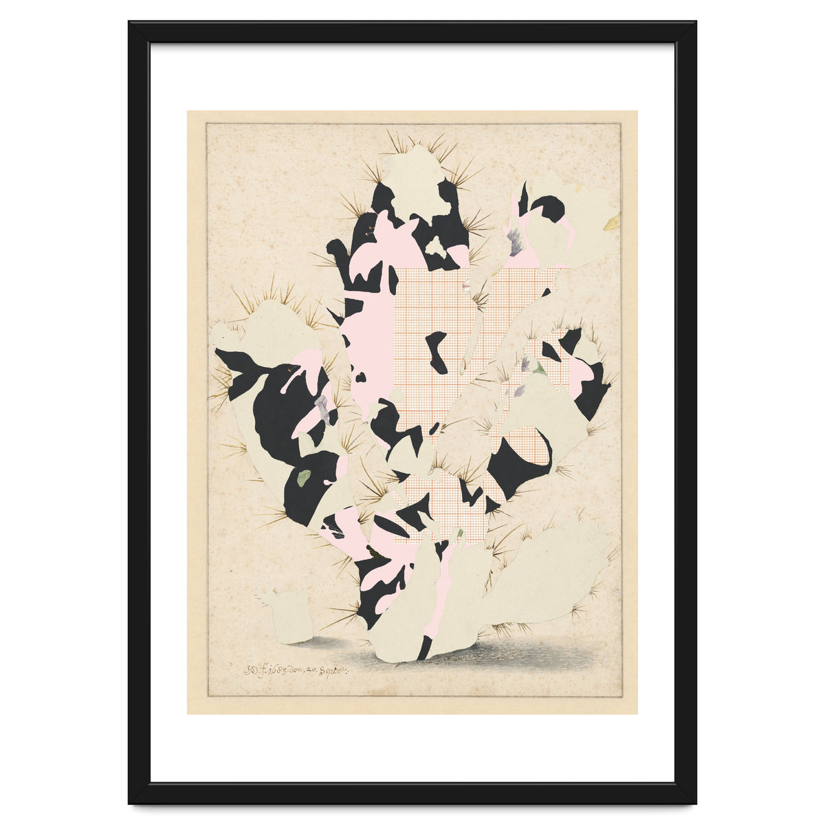 The First Plant · E