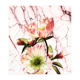 Flowering on pink marble (Print Only) thumbnail