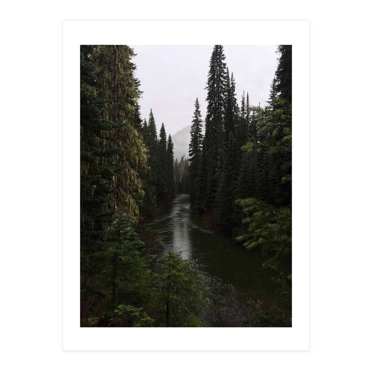 Evergreen State (Print Only)