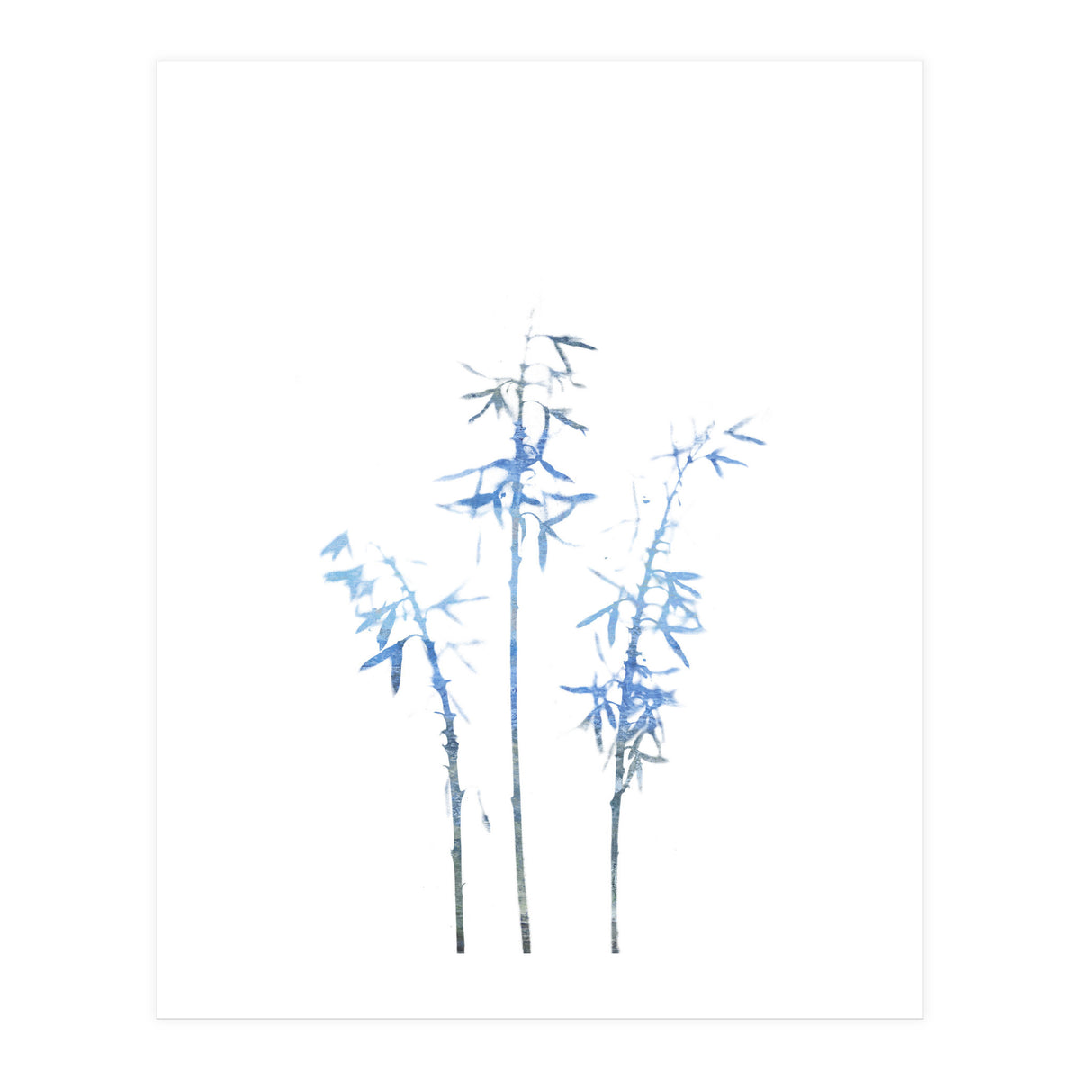 Blue Hosta (Print Only)