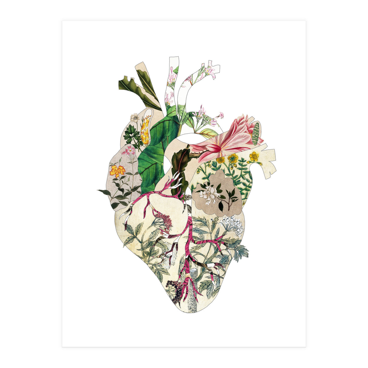 Vintage Botanical Heart (Print Only)