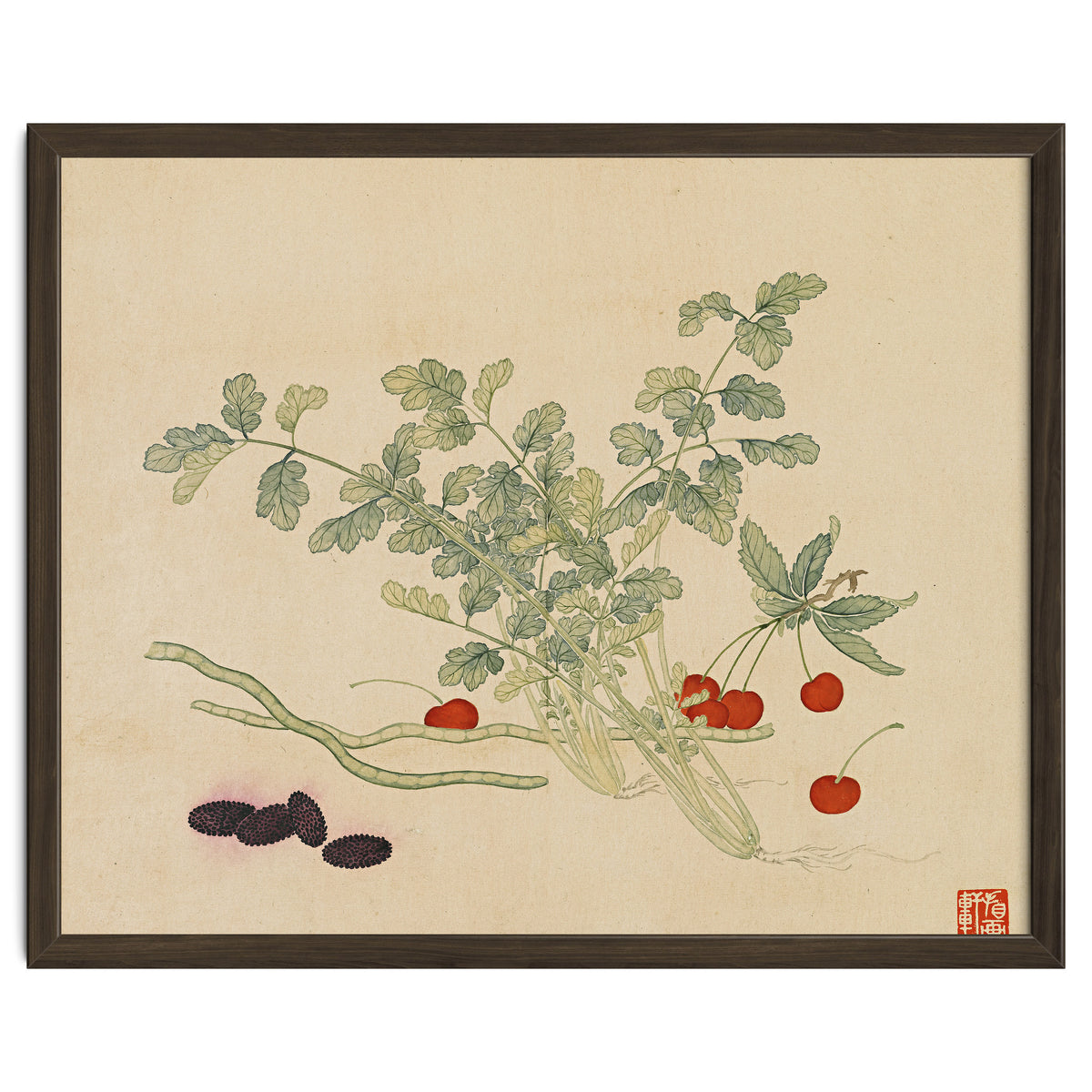 Wang Chengyu~flowers And Vegetables, Vegetables, Fruits, Beans, Red Beans, Cherries, Celery