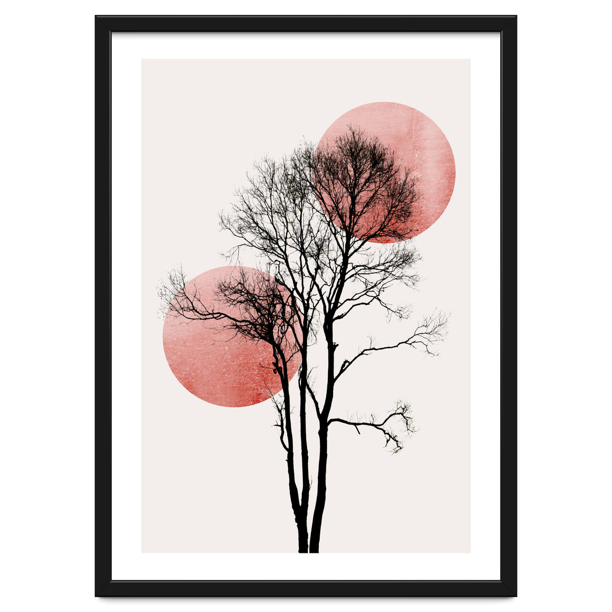 Sun And Moon Hiding Rosè