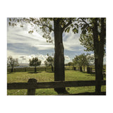 Bucolism 2 (Print Only) thumbnail