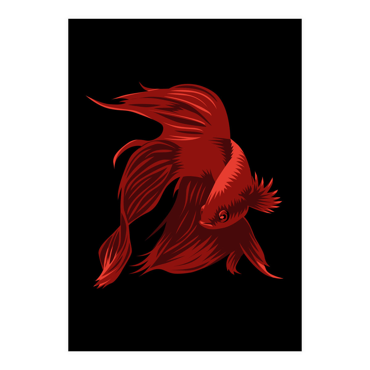Betta (Print Only)
