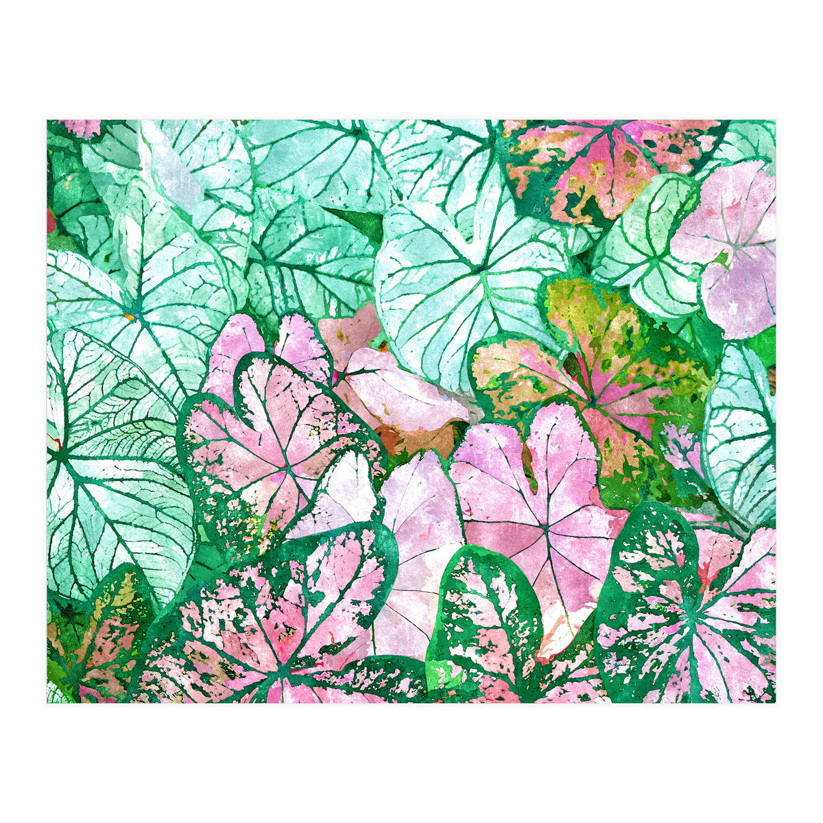 Rain & Nature (Print Only)