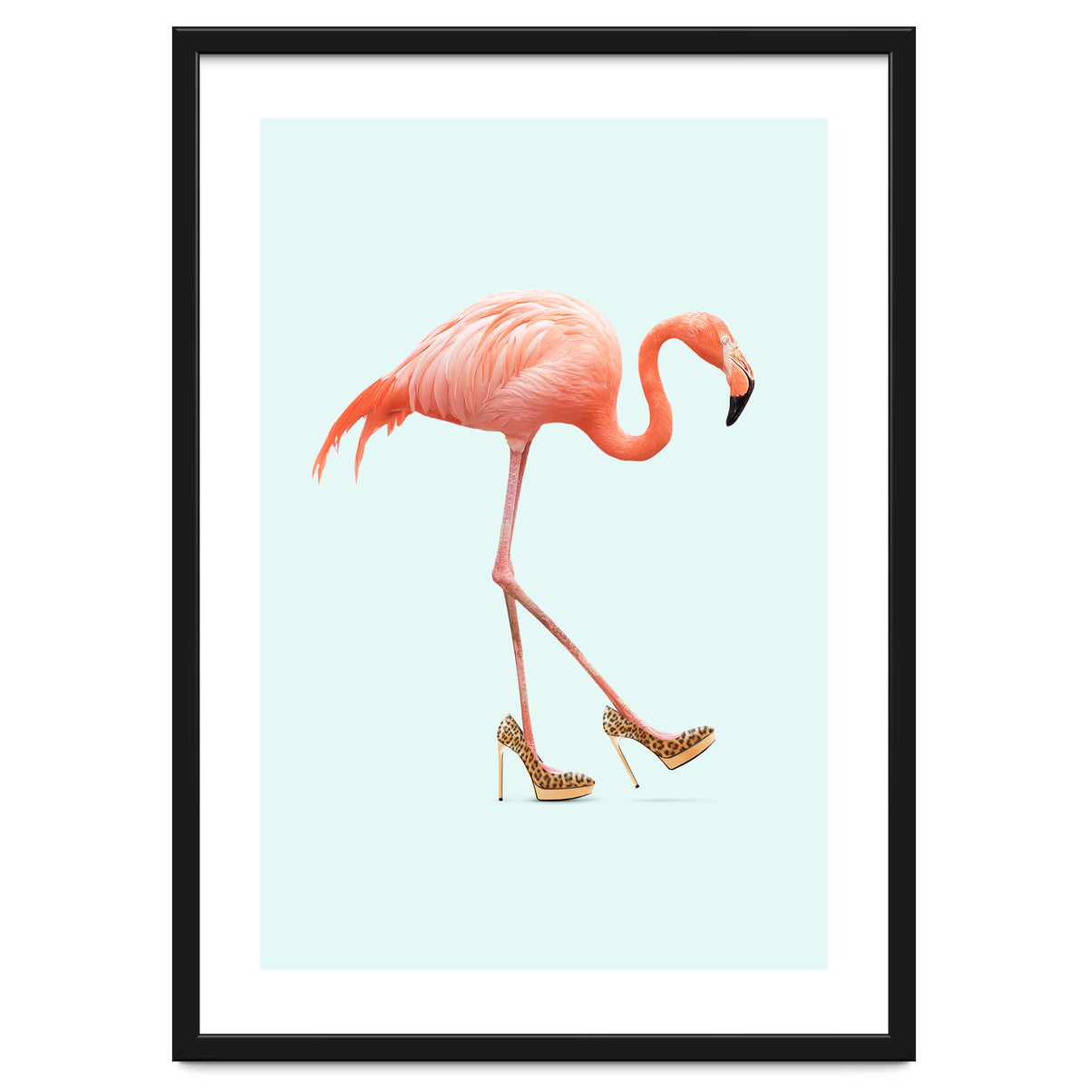 Fancy Flamingo