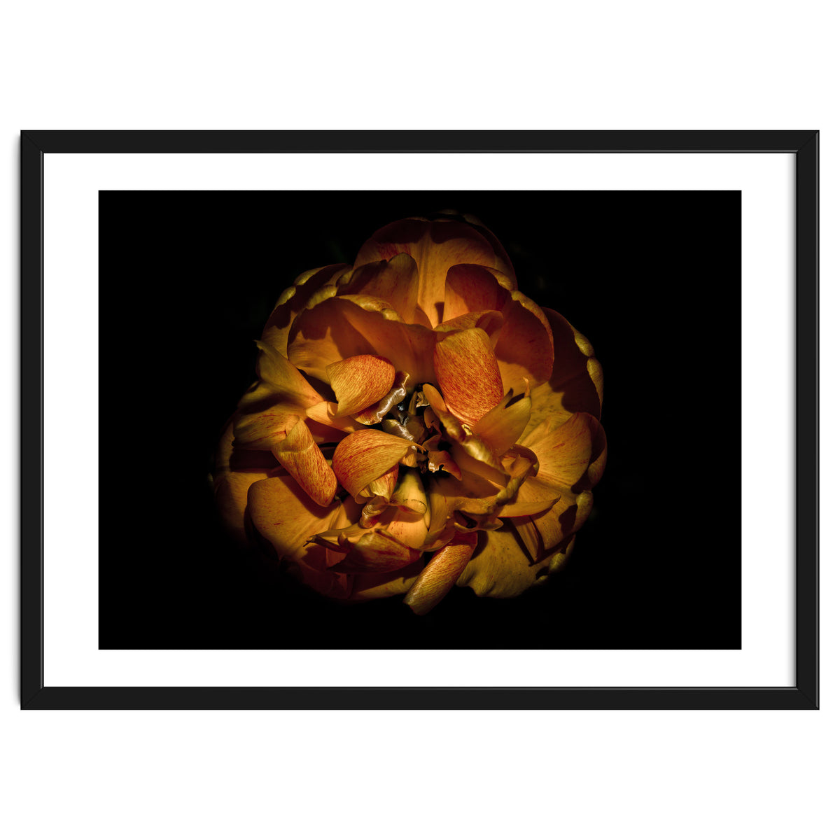 Backyard Flowers No 80 Color Version